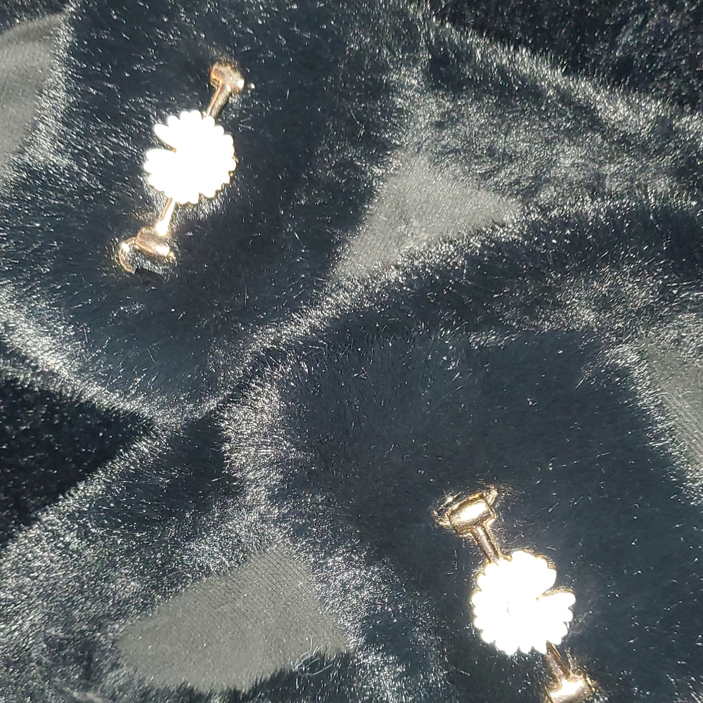 Furry slides